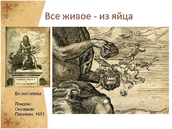 Все живое - из яйца Ex ovo omnia Лондон: Октавиан Паллеин, 1651 