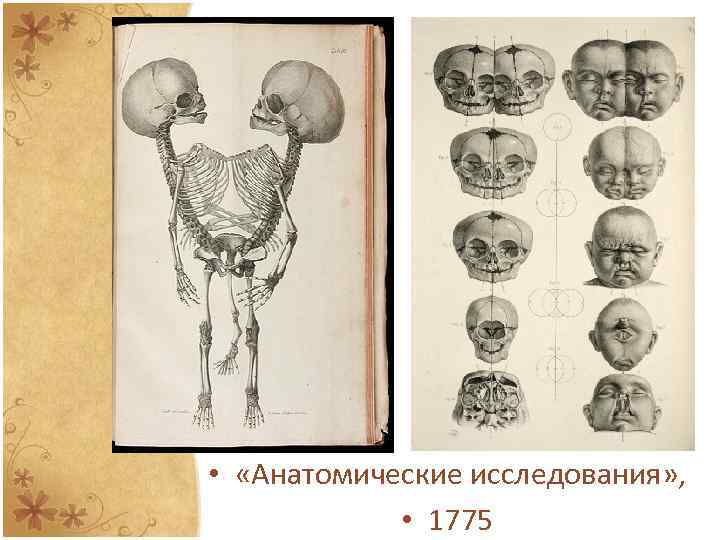  • «Анатомические исследования» , • 1775 