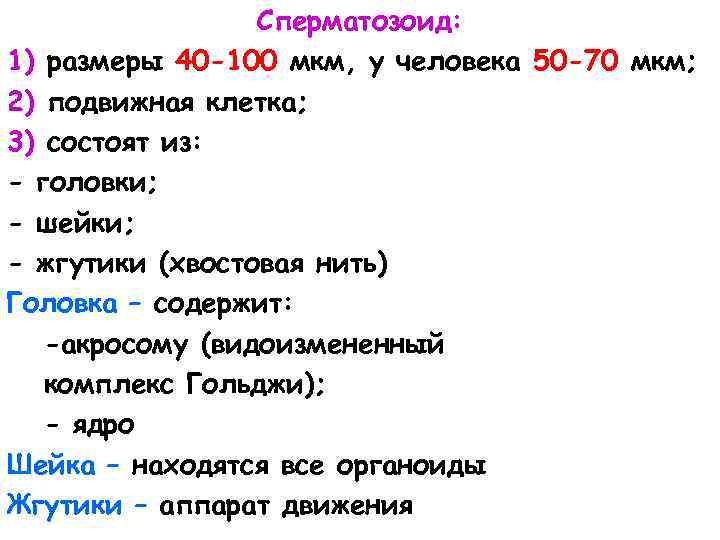 Сперматозоид: 1) размеры 40 -100 мкм, у человека 50 -70 мкм; 2) подвижная клетка;