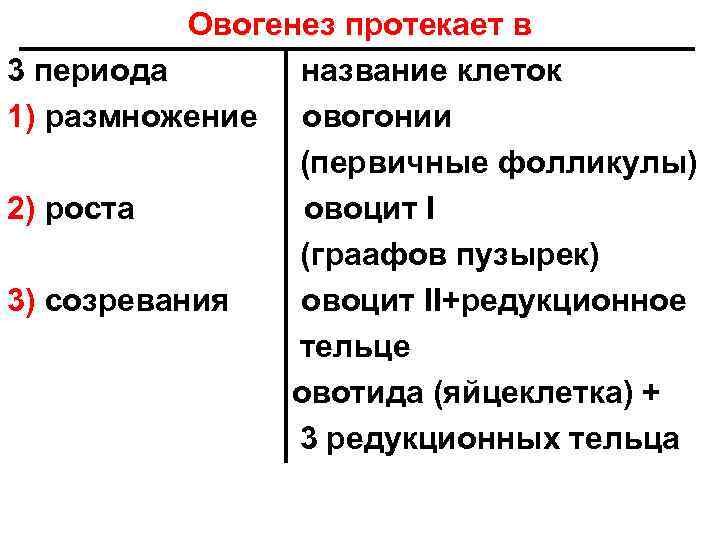 Овогенез протекает в 3 периода название клеток 1) размножение овогонии (первичные фолликулы) 2) роста