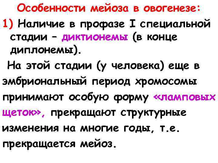 Особенности мейоза в овогенезе: 1) Наличие в профазе I специальной стадии – диктионемы (в