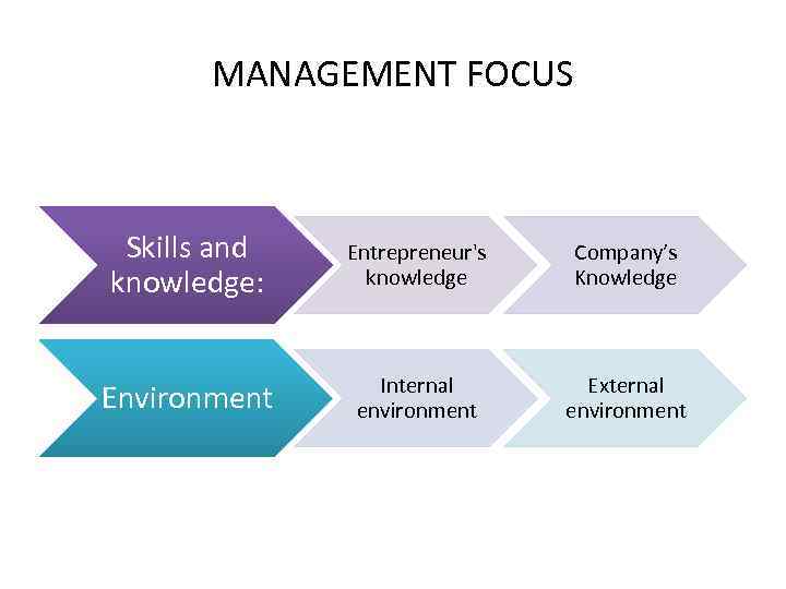 MANAGEMENT FOCUS Skills and knowledge: Entrepreneur's knowledge Company’s Knowledge Environment Internal environment External environment