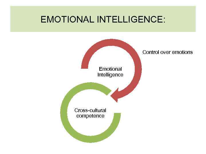 EMOTIONAL INTELLIGENCE: Control over emotions Emotional Intelligence Cross-cultural competence 
