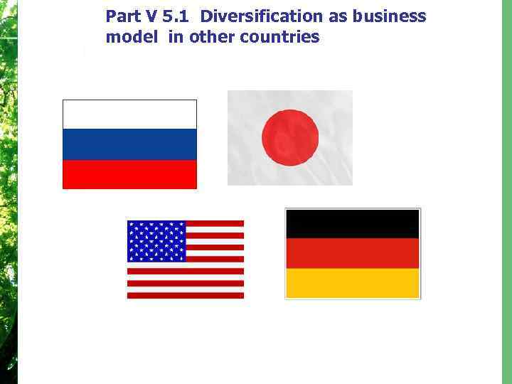 Part V 5. 1 Diversification as business model in other countries 