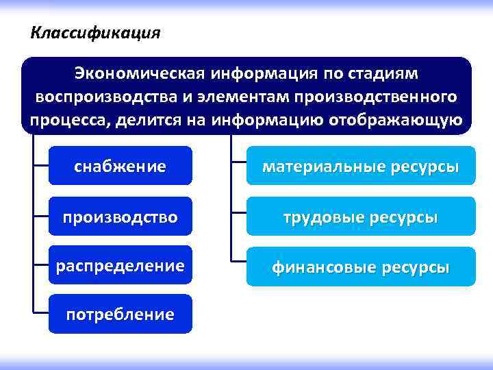 Виды экономической информации