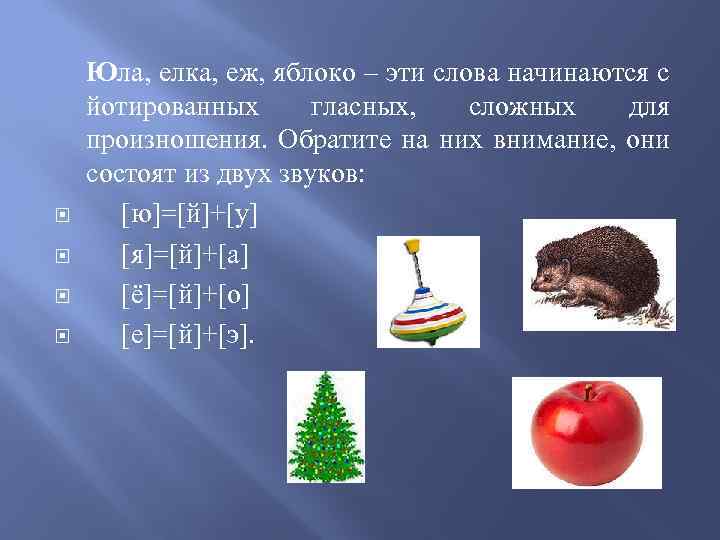  Юла, елка, еж, яблоко – эти слова начинаются с йотированных гласных, сложных для