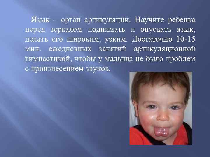 Язык – орган артикуляции. Научите ребенка перед зеркалом поднимать и опускать язык, делать его