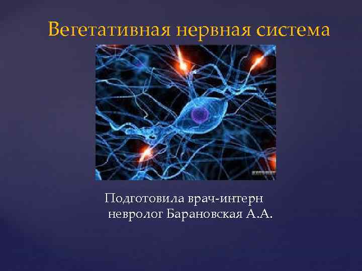 Вегетативная нервная система { Подготовила врач интерн невролог Барановская А. А. 
