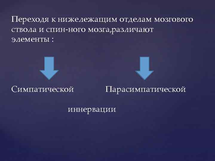 Переходя к нижележащим отделам мозгового ствола и спин ного мозга, азличают р элементы :