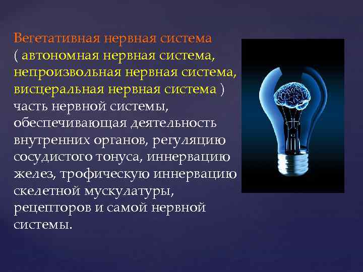 Вегетативная нервная система ( автономная нервная система, непроизвольная нервная система, висцеральная нервная система )