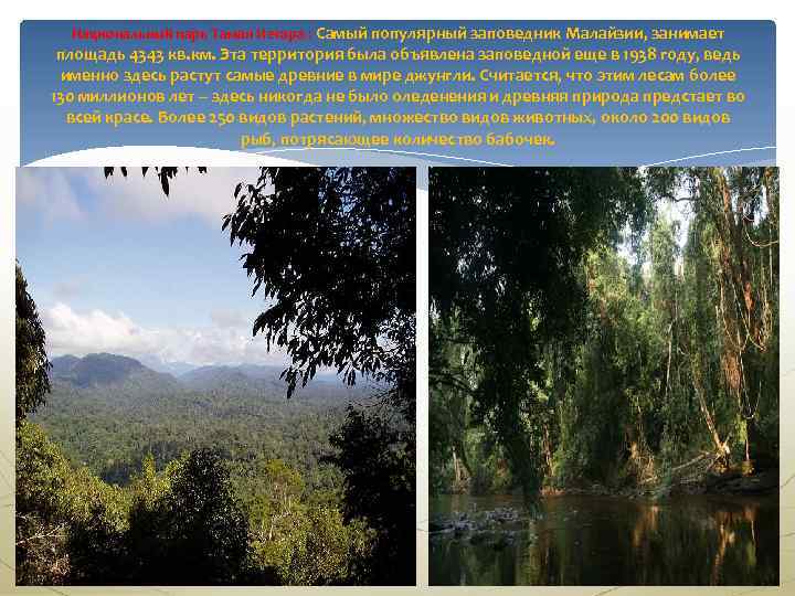 Национальный парк Таман Негара : Самый популярный заповедник Малайзии, занимает площадь 4343 кв. км.