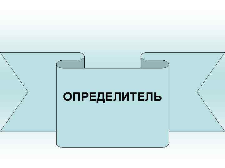 ОПРЕДЕЛИТЕЛЬ 