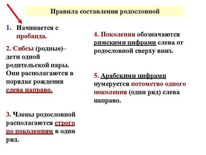 Правила составления родословной 1. Начинается с пробанда. 2. Сибсы (родные)– дети одной родительской пары.