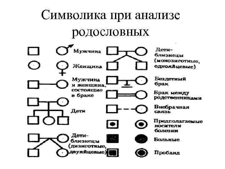 Символика при анализе родословных 