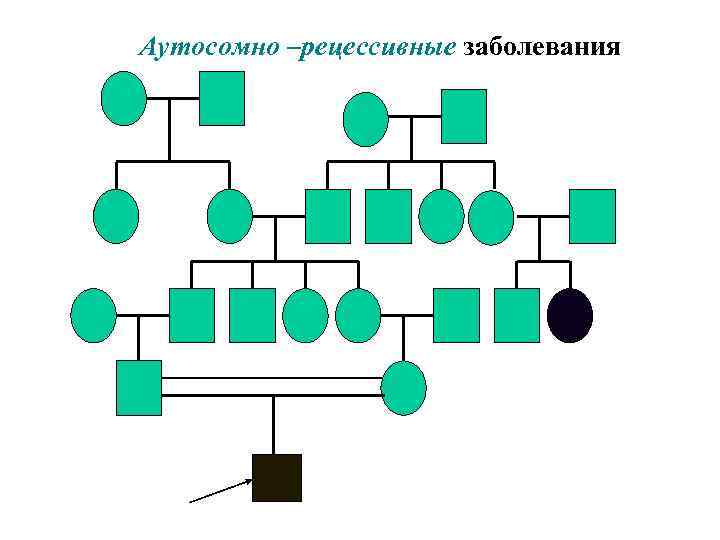 Аутосомно –рецессивные заболевания 