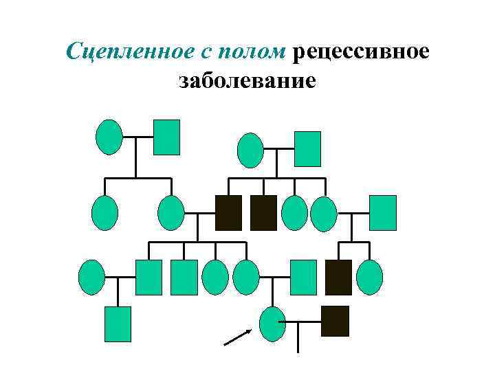 Сцепленное с полом рецессивное заболевание 