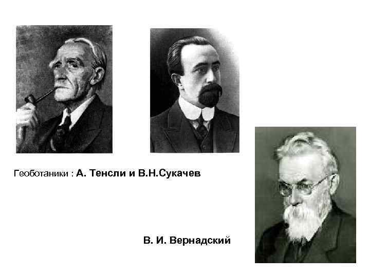 Геоботаники : А. Тенсли и В. Н. Сукачев В. И. Вернадский 