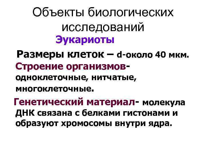 Объекты биологических исследований Эукариоты Размеры клеток – d-около 40 мкм. Строение организмов- одноклеточные, нитчатые,