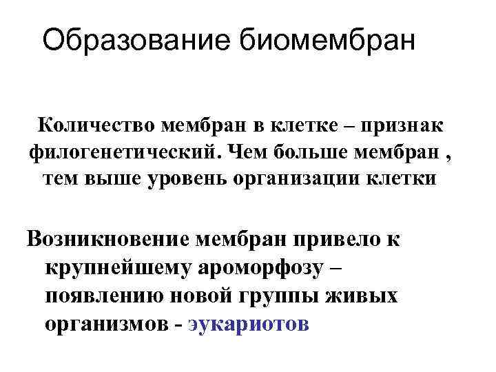 Образование биомембран Количество мембран в клетке – признак филогенетический. Чем больше мембран , тем