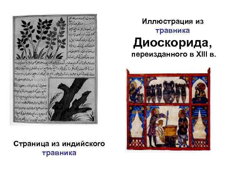 Иллюстрация из травника Диоскорида, переизданного в XIII в. Страница из индийского травника 