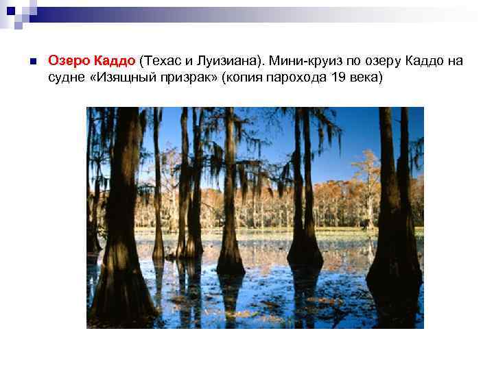 n Озеро Каддо (Техас и Луизиана). Мини-круиз по озеру Каддо на судне «Изящный призрак»