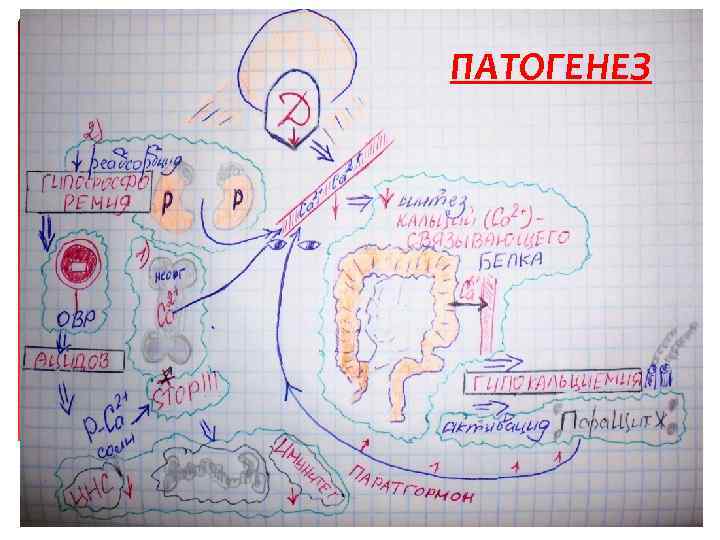 ПАТОГЕНЕЗ 