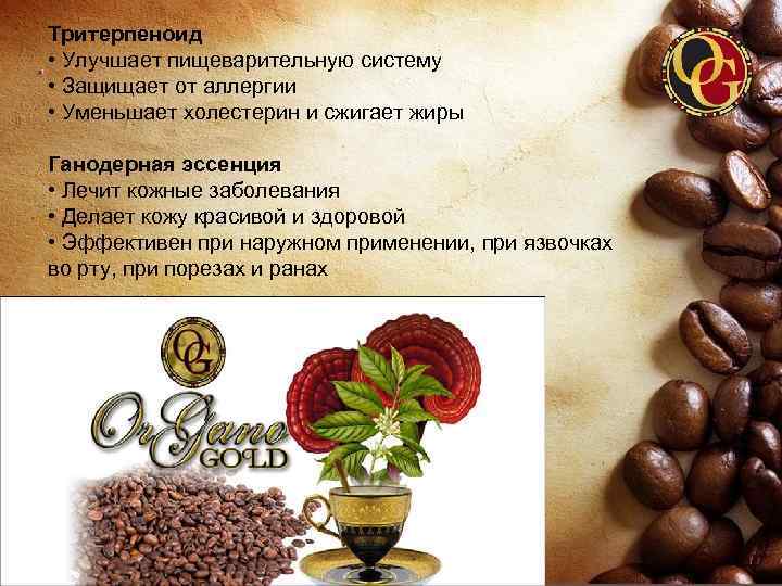 Тритерпеноид • Улучшает пищеварительную систему • Защищает от аллергии • Уменьшает холестерин и сжигает