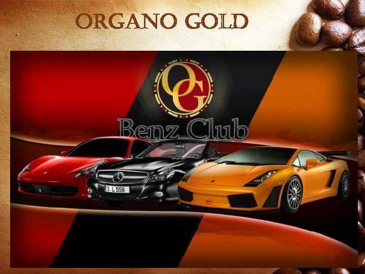 organo gold 