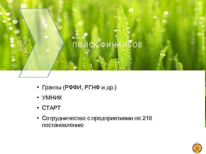 ШАГ 5: ПОИСК ФИНАНСОВ • Гранты (РФФИ, РГНФ и др. ) • УМНИК •