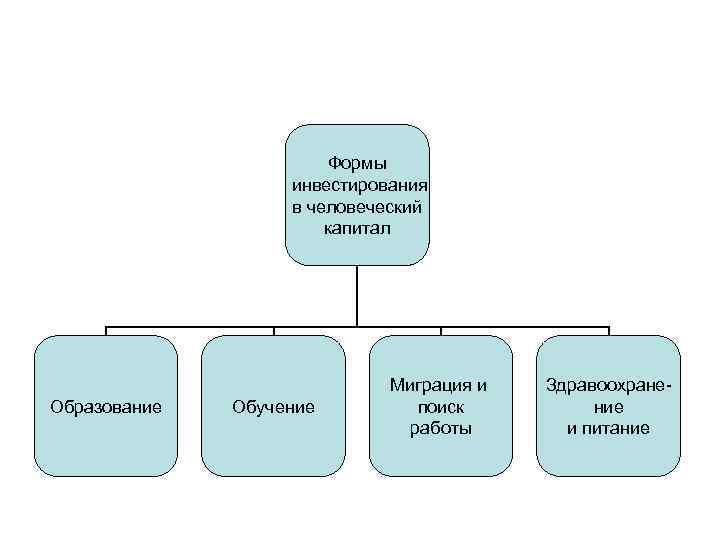 Формы инвестирования в человеческий капитал Образование Обучение Миграция и поиск работы Здравоохранение и питание