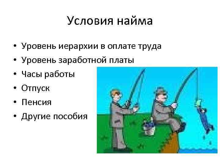 Условия найма • • • Уровень иерархии в оплате труда Уровень заработной платы Часы