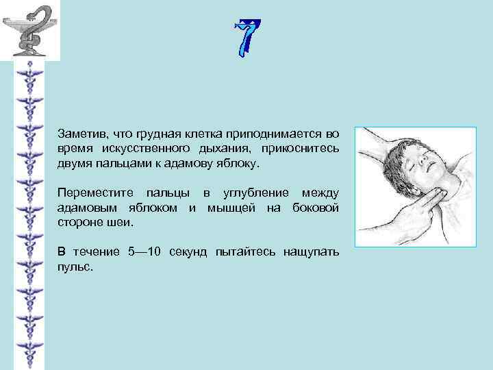 Заметив, что грудная клетка приподнимается во время искусственного дыхания, прикоснитесь двумя пальцами к адамову