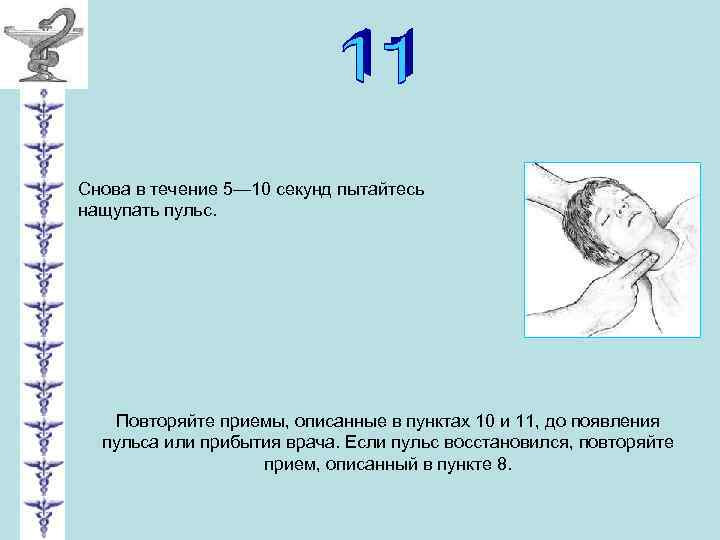 Снова в течение 5— 10 секунд пытайтесь нащупать пульс. Повторяйте приемы, описанные в пунктах