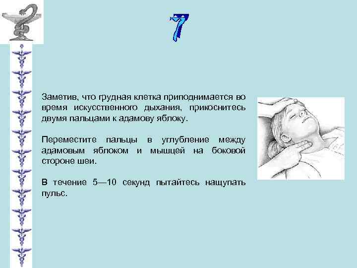 Заметив, что грудная клетка приподнимается во время искусственного дыхания, прикоснитесь двумя пальцами к адамову