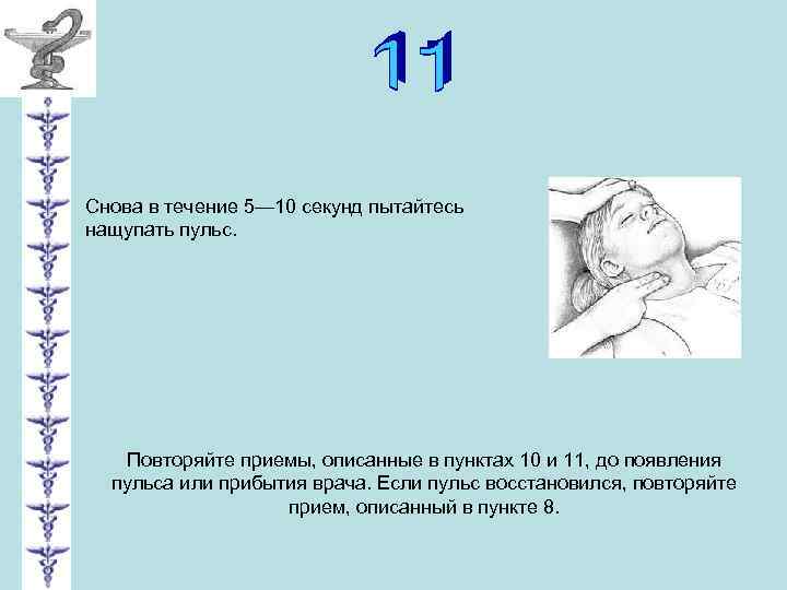 Снова в течение 5— 10 секунд пытайтесь нащупать пульс. Повторяйте приемы, описанные в пунктах