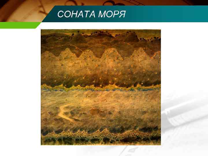 СОНАТА МОРЯ 