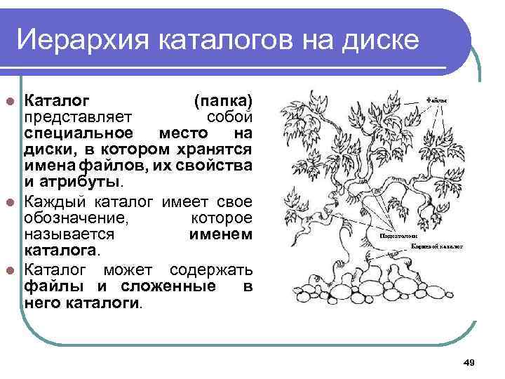 Иерархия каталогов на диске Каталог (папка) представляет собой специальное место на диски, в котором