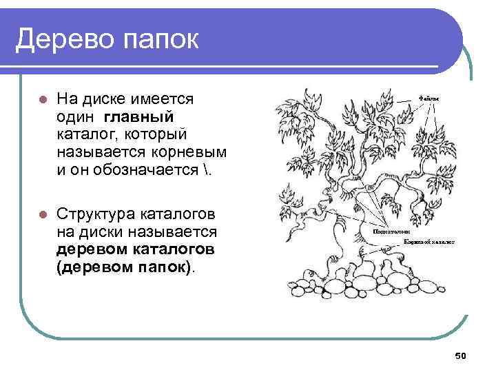 Дерево папок l На диске имеется один главный каталог, который называется корневым и он