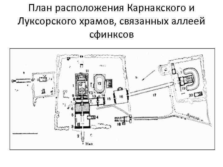 План расположения Карнакского и Луксорского храмов, связанных аллеей сфинксов 