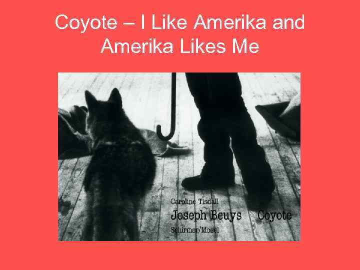 Coyote – I Like Amerika and Amerika Likes Me 