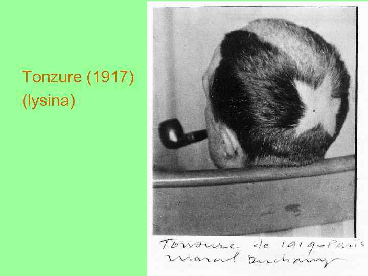 Tonzure (1917) (lysina) 