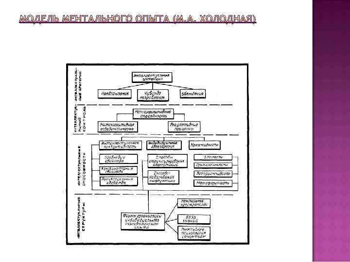 МОДЕЛЬ МЕНТАЛЬНОГО ОПЫТА (М. А. ХОЛОДНАЯ) 