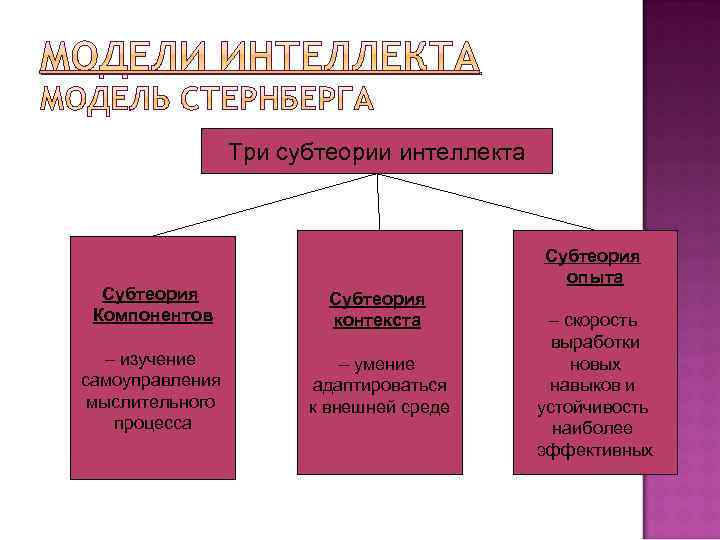 Модели интеллекта. Модель интеллекта стер. Модель интеллект Стернберг. Триархическая теория интеллекта. Теория интеллекта Стернберга.