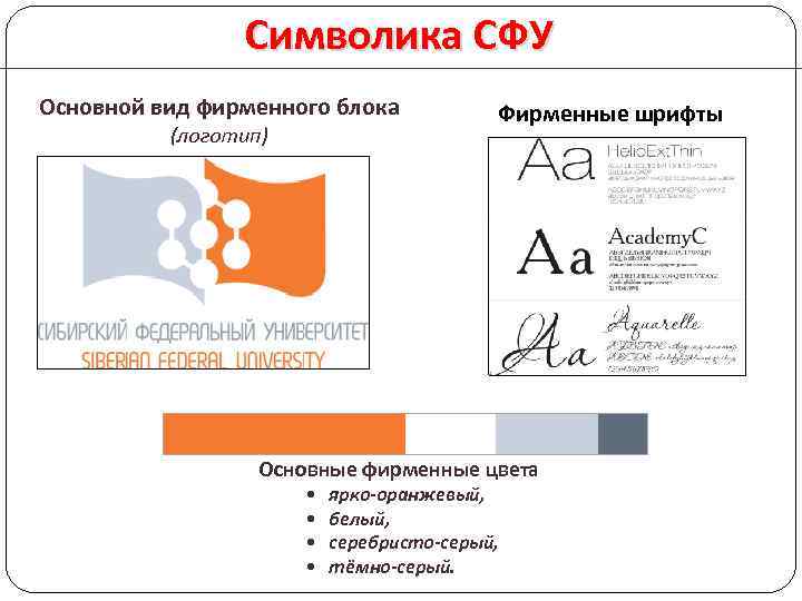 Сфу макет презентации