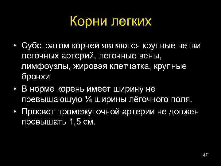 Корни легких • Субстратом корней являются крупные ветви легочных артерий, легочные вены, лимфоузлы, жировая