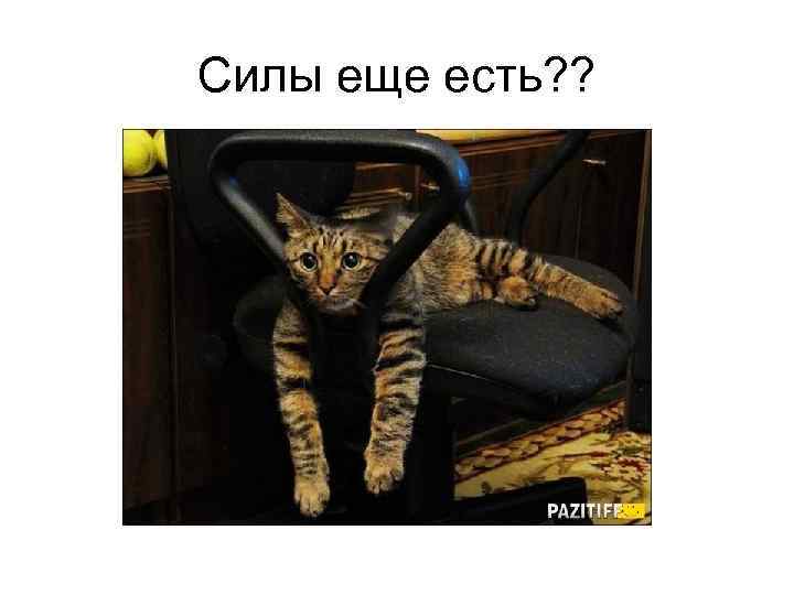 Силы еще есть? ? 