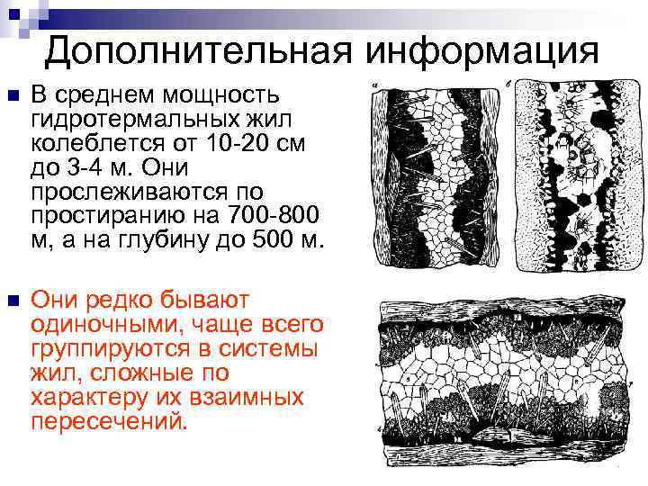 Дополнительная информация n В среднем мощность гидротермальных жил колеблется от 10 -20 см до
