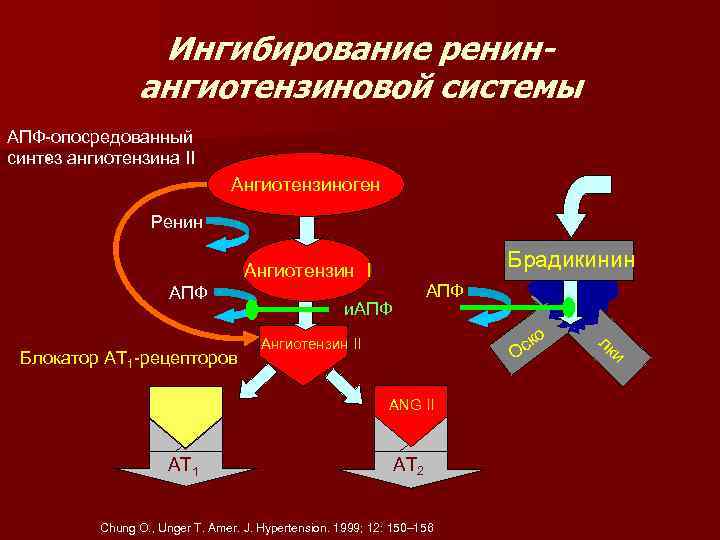 Ингибирование ренинангиотензиновой системы АПФ-опосредованный синтез ангиотензина II . Ангиотензиноген Ренин Брадикинин Ангиотензин I АПФ