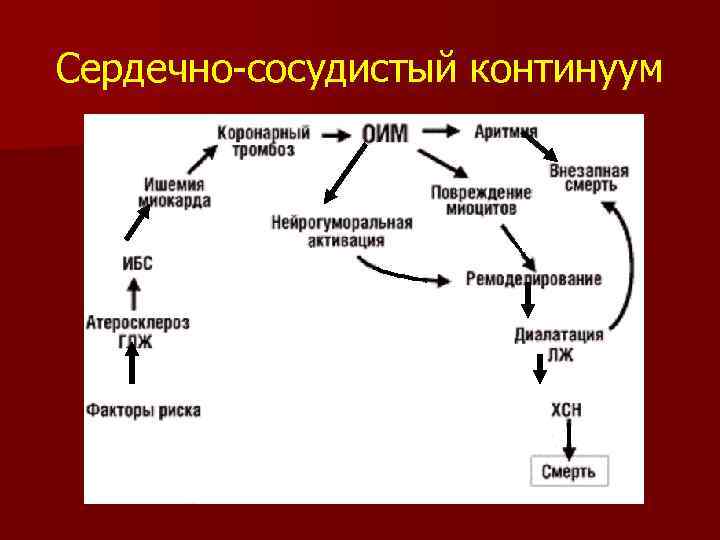 Сердечно-сосудистый континуум 