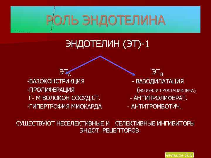 РОЛЬ ЭНДОТЕЛИНА ЭНДОТЕЛИН (ЭТ)-1 ЭТА -ВАЗОКОНСТРИКЦИЯ -ПРОЛИФЕРАЦИЯ Г- М ВОЛОКОН СОСУД. СТ. -ГИПЕРТРОФИЯ МИОКАРДА